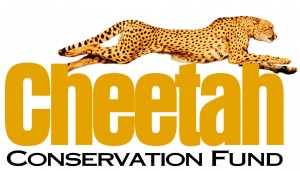 Cheetah Conservation Fund CCF Natural Survival