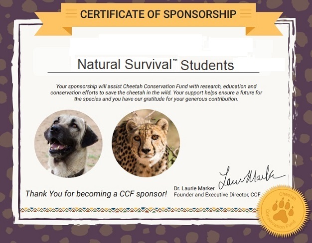 Il Cheetah Conservation Fund incontra il Natural Survival