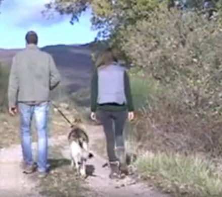 Escursione con il cane, come affrontarla